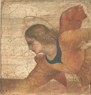 Long Prints: Luini Bernardino, Angel, 1516 - 1521