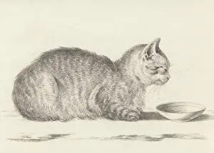 Lying Prints: Lying Cat, Facing Right, by a Dish