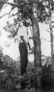 Lynching Prints: Lynched African American man hanging from tree in the United States, 1928