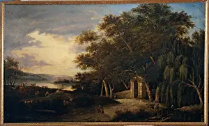 Human Prints: Macanzoni Ludovico, Woody Landscape