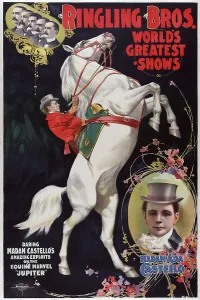 Images Dated 8th December 2008: Madam Ada Castello, equestrian performer in the Barnum & Bailey circus