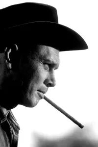 Images Dated 29th August 2006: THE MAGNIFICENT SEVEN, Yul Brynner, 1960