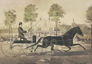 Street Prints: Man driving an open carriage drawn by one trotting horse on a dirt road