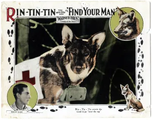 Eric Prints: FIND YOUR MAN, Eric St. Clair, (inset), Rin Tin Tin, 1924