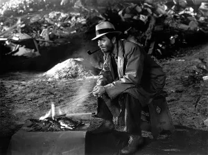 Falcondvd31 Prints: MY MAN GODFREY, William Powell, 1936