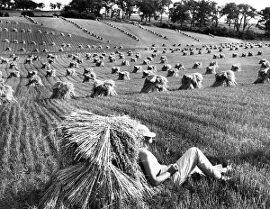 Wheat Prints: A man lounges around in a wheat field