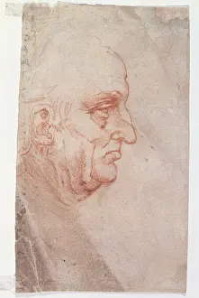 Balding Prints: Man profile, by Leonardo da Vinci