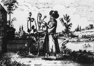 Opium Prints: A man in Turkish dress slashes an opium poppy bud to extract the sap from the seed capsule