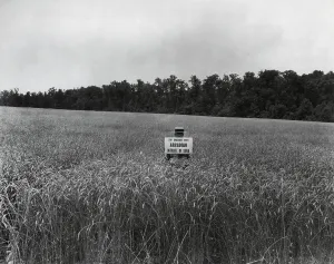 Grain Prints: Man in a wheat field holding a sign