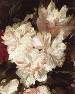 MANET, douard (1832-1883). Peonies in a Vase. 1864. Detail. Impressionism. Oil on canvas. FRANCE. Paris. Muse d'Orsay (Orsay Museum). AISA/Everett Collection**US SALES ONLY**