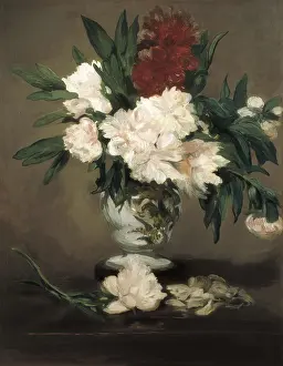 MANET, douard (1832-1883). Peonies in a Vase. 1864. Impressionism. Oil on canvas. FRANCE. Paris. Muse d'Orsay (Orsay Museum). AISA/Everett Collection**US SALES ONLY**