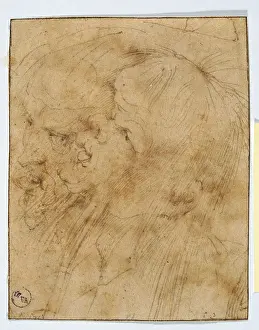 Grotesque Prints: Mans Head, by school of, 16th Century