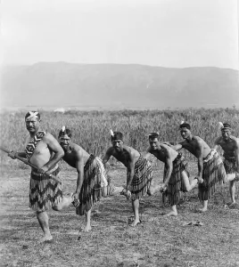 New Zealand Prints: Five Maori men posing in traditional clothing doing haka dance