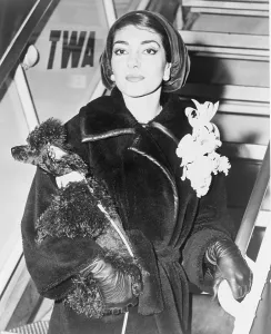 Maria Callas (1923-1977), holding a pet poodle arrives at New York's Idlewild (now JFK) Airport in 1958