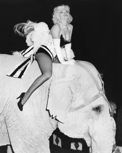 Images Dated 24th December 2013: Marilyn Monroe, at the premiere of Ringling Brothers and Barnum & Bailey circus in Madison Square Garden