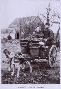 Carts Prints: A MARKET TEAM IN FLANDERS. Two dogs about to pull a loaded cart with two adult passengers