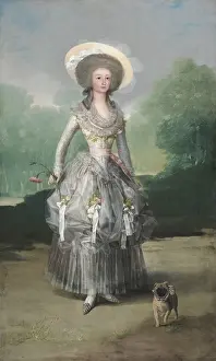Aristocrat Prints: The Marquesa de Pontejos, by Francisco de Goya