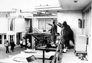 Martin Luther Jr Prints: MARTIN LUTHER KING, JR assassination, 1968.. Courtesy: CSU Archives / Everett Collection