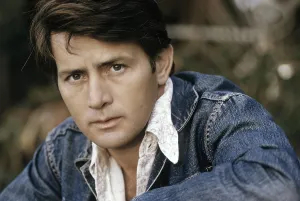 Martin Prints: Martin Sheen, 1974