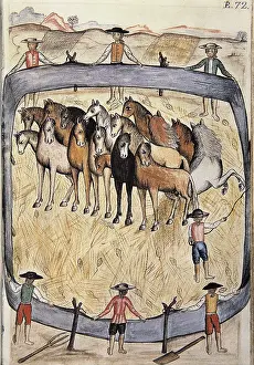 Primary Sector Prints: MARTiNEZ COMPAnoN Y BUJANDA, Baltasar Jaime (1735-1797)