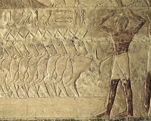 Egyptian Empire Prints: Mastaba of Mereruka. ca. 2323 BC