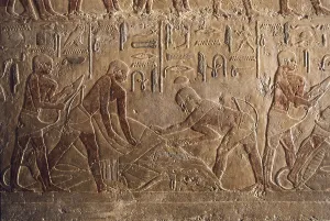 Saqqara Prints: Mastaba of Ti. EGYPT. Saqqara. Mastaba of Ti
