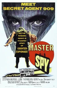 Images Dated 12th February 2014: MASTER SPY, US poster, 1964