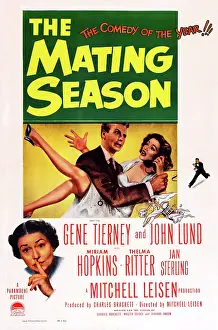 Tierney Prints: THE MATING SEASON, US poster art, from left: Thelma Ritter, John Lund, Gene Tierney, 1951