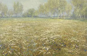 Sunshine Prints: Meadow in Bloom, by Egbert Rubertus Derk Schaap
