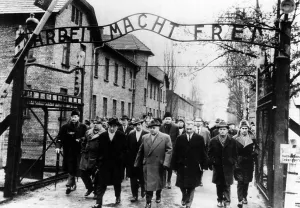 Judge Prints: Members of the Frankfurt war crimes court leave the Auschwitz death camp