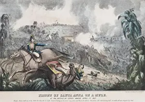 Armies Prints: Mexican American War. Battle of Cerro Gordo