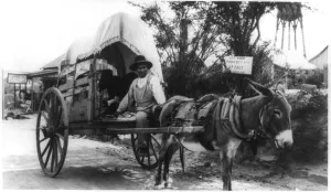 Latinos Prints: Mexican man on a donkey cart emigrating to the United States via Nuevo Laredo