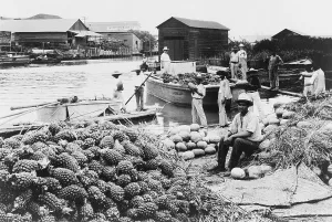 Images Dated 6th August 2007: Mexico City, waterfront market, circa early 1900s
