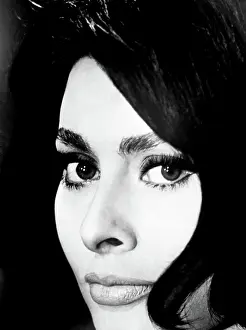 Jsx 41 Prints: FIVE MILES TO MIDNIGHT, Sophia Loren, 1962
