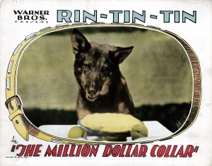German Shepherd Prints: THE MILLION DOLLAR COLLAR, Rin Tin Tin, 1929