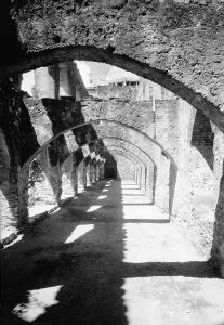 Mission Prints: Mission San Jose y San Miguel de Aguayo
