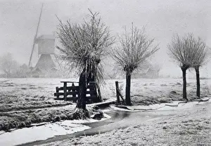 Frozen Prints: Misty Winterday, by Beers, J.G