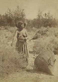Clothes Prints: Moapariat Paiute woman gathers seeds in the Moapa River Valley in Southern Nevada's desert lowlands