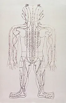 Hubert Prints: Model for acupuncture, an engraving from GRANDEUR AND SUPREMACY OF PEKING