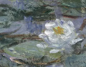 Impressionists Prints: MONET, Claude (1840-1926). Blue Waterlilies