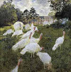 Square Prints: MONET, Claude (1840-1926). The Turkeys at the Chateau de Rottembourg