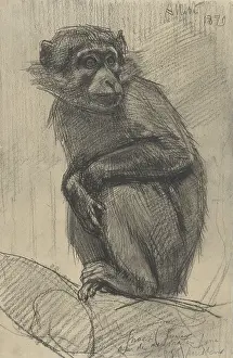 Monkey Prints: Monkey on a Branch, by August Allebe
