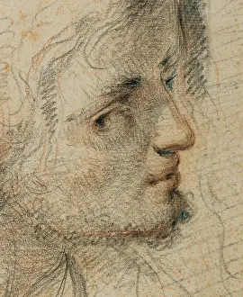 Study Prints: Montelatici Francesco known as Cecco Bravo