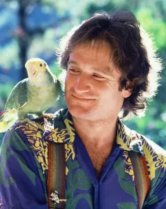 1970s Portraits Prints: MORK & MINDY, Robin Williams, 1978-82