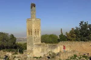 Morocco Prints: MOROCCO. Rabat. Chellah Necropolis