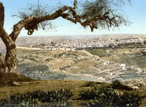 Holy Land Prints: From Mount Scopus, Jerusalem, Holy Land, photochrom, circa 1890-1900