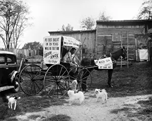 Landon Prints: Mrs. Lucy O'Leary, 79, clearly supports Republican Presidential candidate Alf Landon