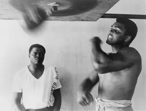 Muhammad Prints: Muhammad Ali, works out on light bag in Miami, Florida. 1965