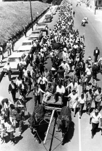 Memphis Prints: A mule-drawn farm wagon leads a poor people's march in Memphis