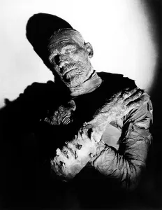 Shadow Prints: THE MUMMY, Boris Karloff, 1932 boriskarloff-fst11(boriskarloff-fst11)